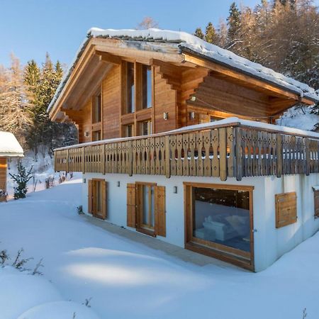 Chalet Asphodel Nendaz Kültér fotó