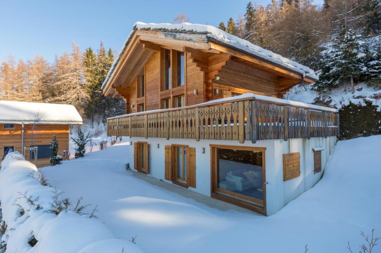 Chalet Asphodel Nendaz Kültér fotó